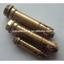 Can fixed bolts, heavy duty bolts, anchor bolt